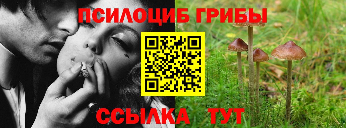 Скопин  Псилоцибиновые грибы Psilocybine cubensis  Вход с VPN  купить наркотики сайты  Псилоцибиновые грибы GOLDEN TEACHER 